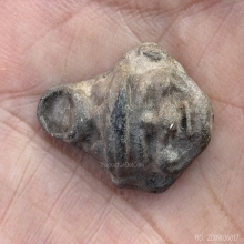 เศียรพ่อแก่เนื้อดินอาถรรพ์ หลวงปู่เม่ง วัดบางสะแก