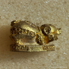 หมูทองมหาลาภ 