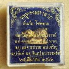 หมูทองมหาลาภ 