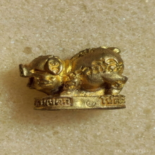 หมูทองมหาลาภ 