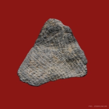 นางสุโขทัย กรุเขาพนมเพลิง