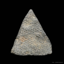 นางหน้าตระกวน สุโขทัย กรุเขาพนมเพลิง