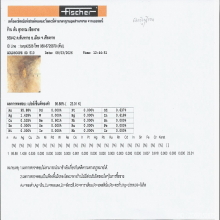 พระสมเด็จกรุวัดกุฎีทอง จ.อยุธยา