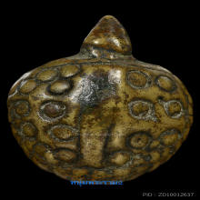 พญาเต่าเรือน หลวงพ่อเงิน บางคลาน