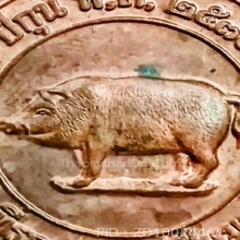 หมู ปี 2538 เนื้อทองแดงผิวไฟ พิมพ์ ปั๊ม 2 หน้า หลวงพ่อสาคร