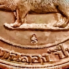 หมู ปี 2538 เนื้อทองแดงผิวไฟ พิมพ์ ปั๊ม 2 หน้า หลวงพ่อสาคร