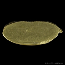 ชินราชอินโดจีน วัดสุทัศน์ฯพิมพ์ต้อบัวเล็บช้างปี2485ไม่มีโค๊ต