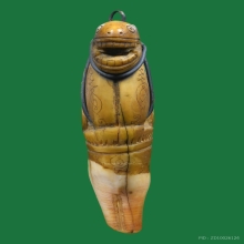 เสือ ล.พ.สาย วัดคลองด่าน