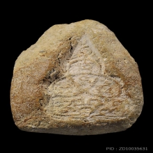 หายากมาก พระผงกรุวัดท้ายตลาด พิมพ์นาคปรก สภาพสวยเนื้อจัดมาก