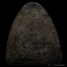 หลวงปู่ทวด วัดช้างให้ ปี2524 เนื้อว่าน พิมพ์ใหญ่