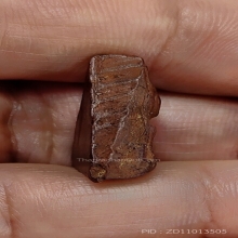 พระนางพญา หลวงปู่โต๊ะ วัดประดู่ฉิมพลี พิมพ์เทวดา ปี2472