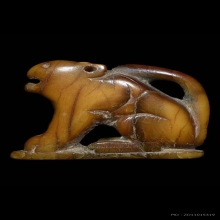 เสือหลวงพ่อเฮง วัดเขาดิน