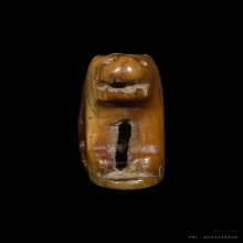 เสือหลวงพ่อเฮง วัดเขาดิน