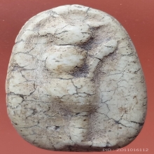 พระกรุ วัดพลับ พิมพ์วันทาเสมา สภาพสวยมาก