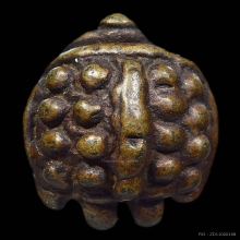 เต่าหลวงพ่อเงิน วัดบางคลาน จ.พิจิตร