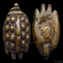 เต่าหลวงพ่อเงิน วัดบางคลาน จ.พิจิตร