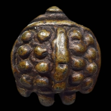 เต่าหลวงพ่อเงิน วัดบางคลาน จ.พิจิตร