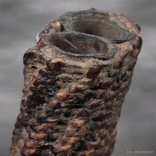 ตะกรุดสาริกาคู่หลวงพ่อกลั่น