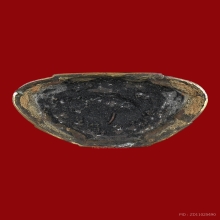 พระเหลือเถระเจ้า