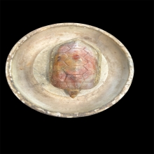 พญาเต่าเรือนหินสบู่ขนาดบูชาหลวงพ่อสนิท