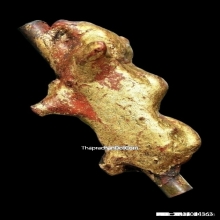 วัวธนูครูบานันตา วัดทุ่งม่านใต้ ปี2500