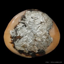 เบี้ยแก้หลวงพ่อซำ วัดตลาดใหม่