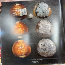 เบี้ยแก้หลวงพ่อซำ วัดตลาดใหม่