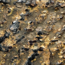 “ตะกรุดไม้ครูดอกเล็กปิดทอง”หลวงปู่ภู วัดอินทร์