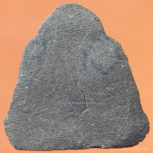 ลป.ทวดไกร วัดลำพระยา รุ่นแรก ปี 07 เนื้อว่าน