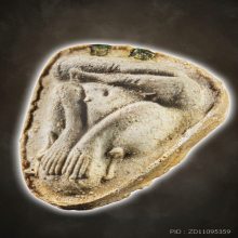 หลวงปู่โต๊ะ พระปิดตาปลดหนี้ เนื้อเกสร องค์ดารา