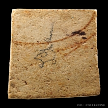 หลวงปู่โต๊ะ พระสมเด็จปรกโพธิ์ฐานเกย องค์ดารา สวยแชมป์