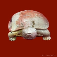 พญาเต่าเรือนหินสบู่หลวงพ่อสนิท