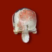 พญาเต่าเรือนหินสบู่หลวงพ่อสนิท