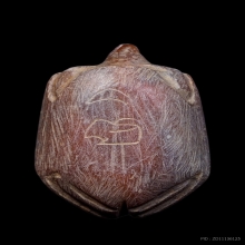 พญาเต่าเรือนหินสบู่ขนาดห้อยคอหลวงพ่อสนิท