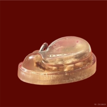 จระเข้หินพระธาตุหลวงพ่อนนิท