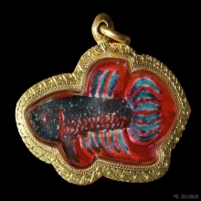 ปลากัดสารพัดนึกเนื้องาเพ้นท์สีหลวงปู่น่วม