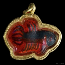 ปลากัดสารพัดนึกเนื้องาเพ้นท์สีหลวงปู่น่วม