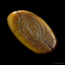 เสือ หลวงพ่อปาน พิมพ์หุบปาก วัดบางเหี้ย ปี2453