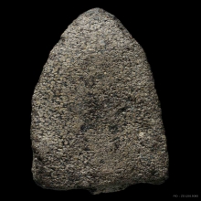 หลวงพ่อทวด อาจารย์นอง ปี2514 ว่านกดมือ หน้ากรรมการ บัวหลุด