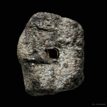 หลวงพ่อทวด อาจารย์นอง ปี2514 ว่านกดมือ หน้ากรรมการ บัวหลุด