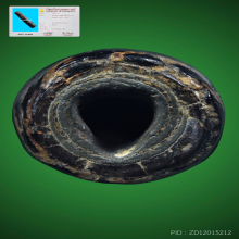 ตะกรุดหลวงปู่ศุข วัดปากคลองมะขามเฒ่า(นิยมจระเข้ขบฟัน) ยุคต้น