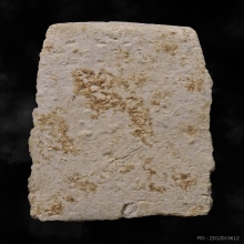 พระสมเด็จพิมพ์รัศมีหลวงปู่ศุข กรุวัดคลองขอม