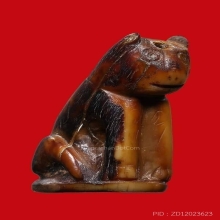 เสือ หลวงพ่อปาน พิมพ์ศิลป์วัดกลาง วัดบางเหี้ย ปี2453