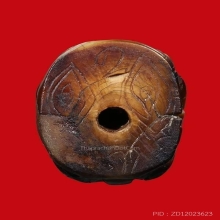 เสือ หลวงพ่อปาน พิมพ์ศิลป์วัดกลาง วัดบางเหี้ย ปี2453