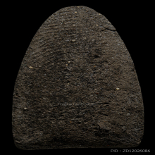 หลวงปู่ทวด วัดช้างให้ ปี2524 เนื้อว่าน พิมพ์กลาง