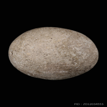 ลูกอมมหากัณฑ์หลวงพ่อคง วัดบางกะพ้อม พร้อมบัตรสมาคม