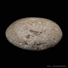 ลูกอมมหากัณฑ์หลวงพ่อคง วัดบางกะพ้อม พร้อมบัตรสมาคม