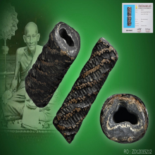 ตะกรุดหลวงปู่ศุข วัดปากคลองมะขามเฒ่า สภาพสมบูรณ์ ไม่มีตัดดอก