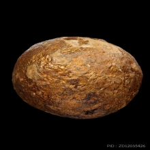 บัตรหมีพูห์ปู่ทิม ลูกอมผงพรายกุมารเนื้อกระยาสารถ หลวงปู่ทิม