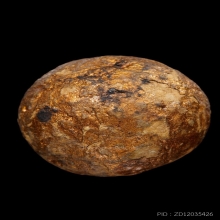 บัตรหมีพูห์ปู่ทิม ลูกอมผงพรายกุมารเนื้อกระยาสารถ หลวงปู่ทิม